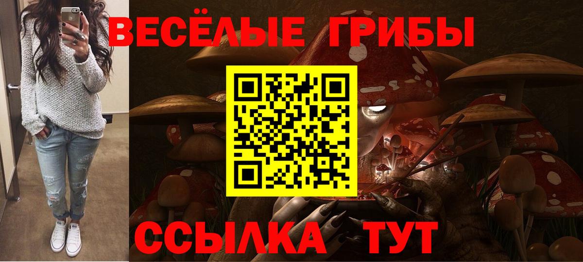 Галлюциногенные грибы GOLDEN TEACHER Верхний Уфалей